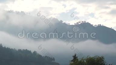 早晨潮湿的群山中弥漫着浓雾，加<strong>快了</strong>拍摄速度